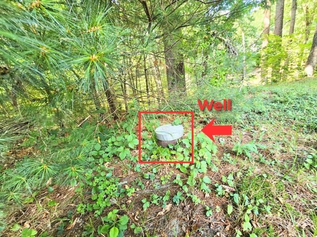 0 Nel Bonney Road, Plympton, MA 02367