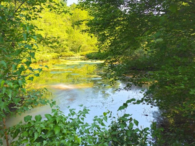 0 Nel Bonney Road, Plympton, MA 02367
