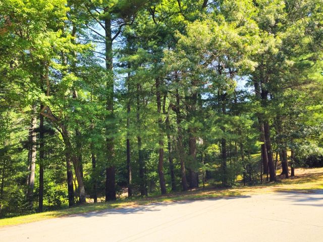 0 Nel Bonney Road, Plympton, MA 02367