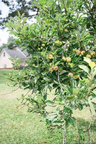 2847 Pickard Rd. Road, Sanford, NC 27330
