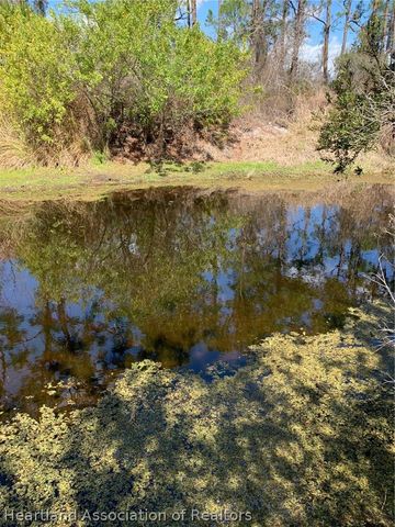 223 E Canal Way NE, Lake Placid, FL 33852