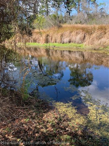 223 E Canal Way NE, Lake Placid, FL 33852