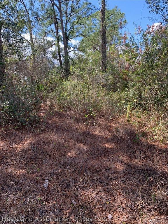 223 E Canal Way NE, Lake Placid, FL 33852