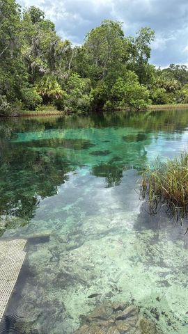 8969 W CANDLEGLOW STREET, Crystal River, FL 34428