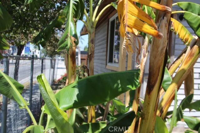1301 N McCadden Place, Los Angeles, CA 90028