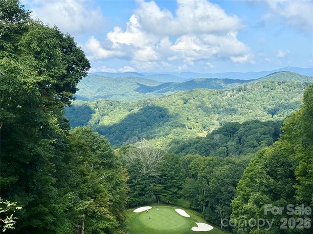 96 Goldenleaf Road, Mars Hill, NC 28754
