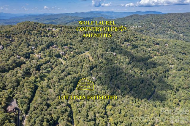 96 Goldenleaf Road, Mars Hill, NC 28754