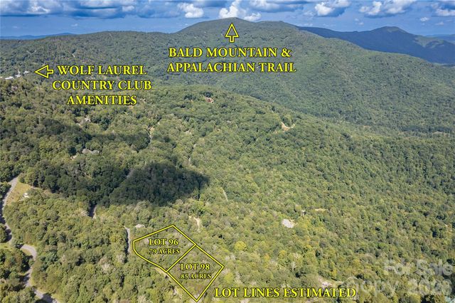 96 Goldenleaf Road, Mars Hill, NC 28754