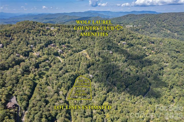 96 Goldenleaf Road, Mars Hill, NC 28754