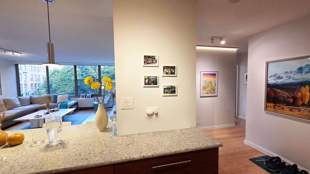 360 W Wellington Avenue 2B, Chicago, IL 60657