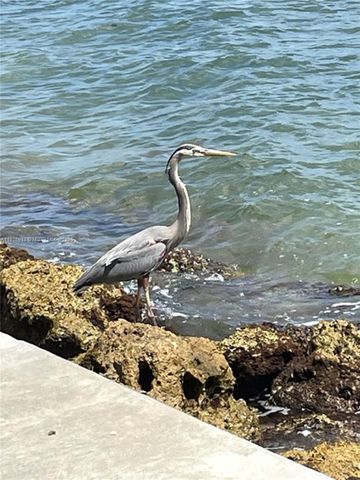 540 Brickell Key Dr 1120, Miami, FL 33131