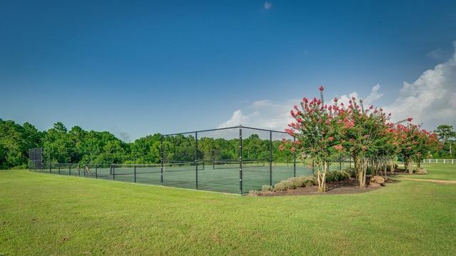 11642 Renaissance Drive, Montgomery, TX 77356
