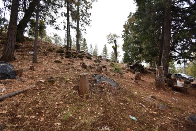 233 Renegade Road, Oroville, CA 95966