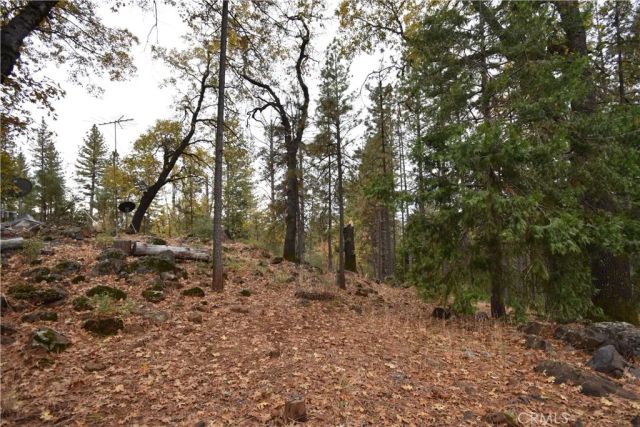 233 Renegade Road, Oroville, CA 95966