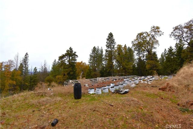 233 Renegade Road, Oroville, CA 95966