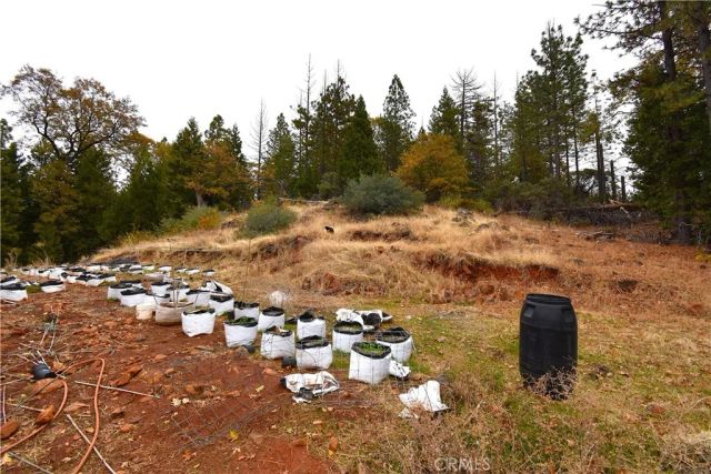 233 Renegade Road, Oroville, CA 95966