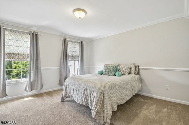 9 Steeplechase Lane, Franklin Twp., NJ 08802