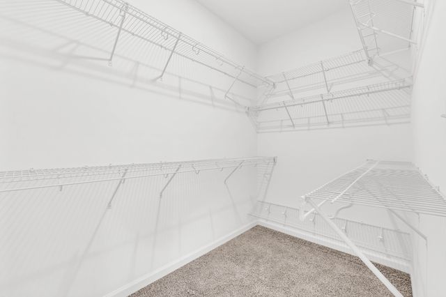 382 Kingland Ln, Clarksville, TN 37043