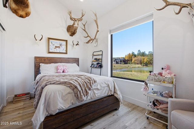 1620 S TORREON LAKES Drive, Show Low, AZ 85901