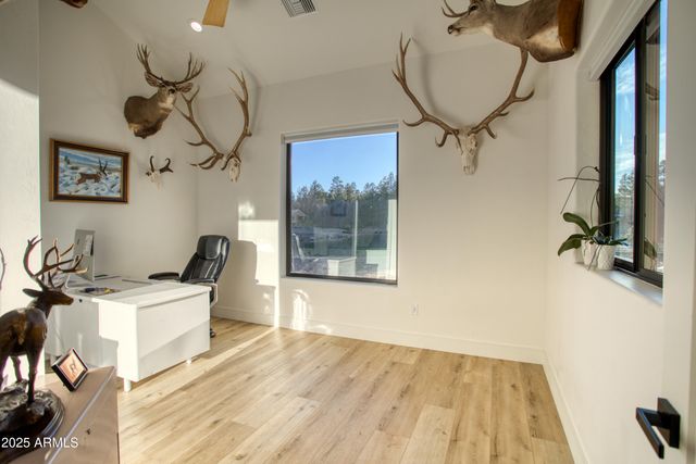 1620 S TORREON LAKES Drive, Show Low, AZ 85901