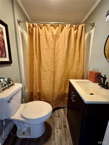 1008 North Street, Leadwood, MO 63653