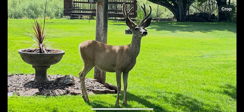 71 Seibold Lane, Cascade, MT 59421 photo 11