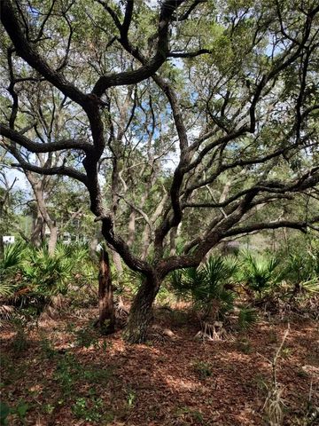 6033 W TIRANA LANE, Dunnellon, FL 34433