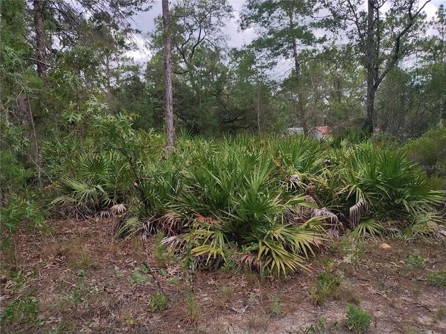 6033 W TIRANA LANE, Dunnellon, FL 34433