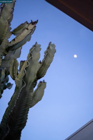 4095 Phoenix St, Concord, CA 94521