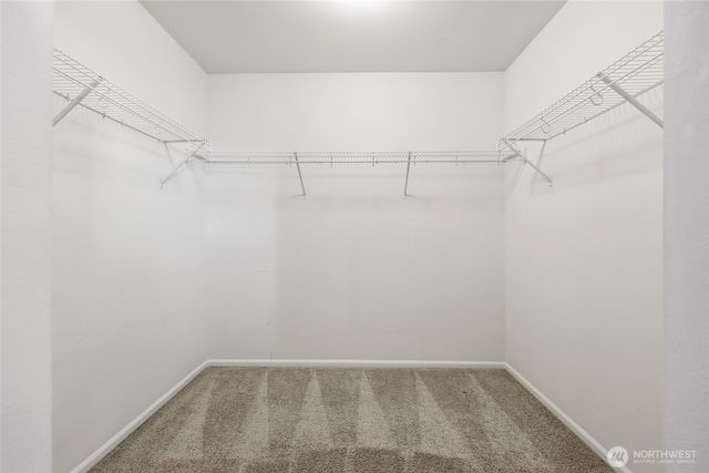 2306 Fiddleback Street NE, Lacey, WA 98516