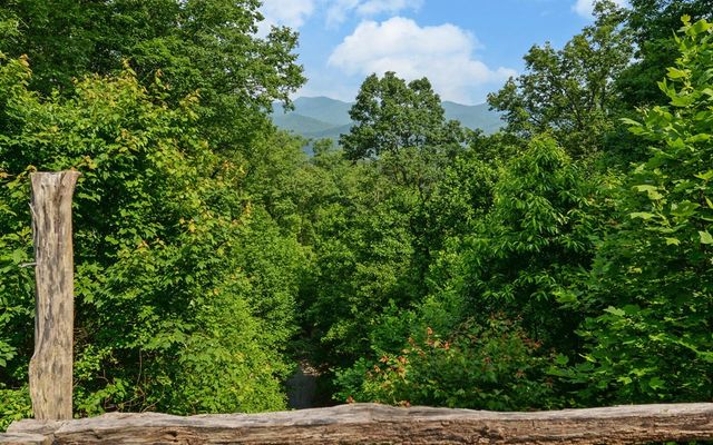 643 Zekes Trail, Marble, NC 28905