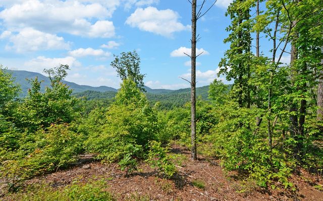 643 Zekes Trail, Marble, NC 28905