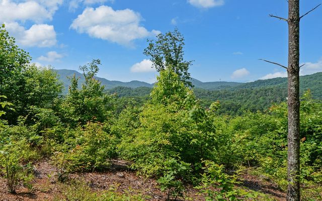 643 Zekes Trail, Marble, NC 28905