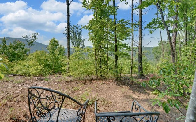 643 Zekes Trail, Marble, NC 28905