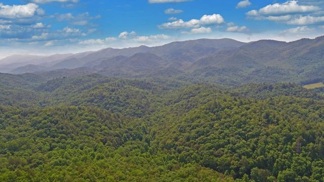 643 Zekes Trail, Marble, NC 28905