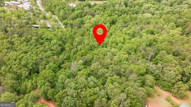 0 Habersham Mills Road, Demorest, GA 30535