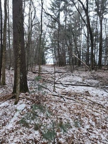0 19th Pass, Arkdale, WI 54613