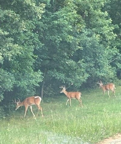 0 19th Pass, Arkdale, WI 54613