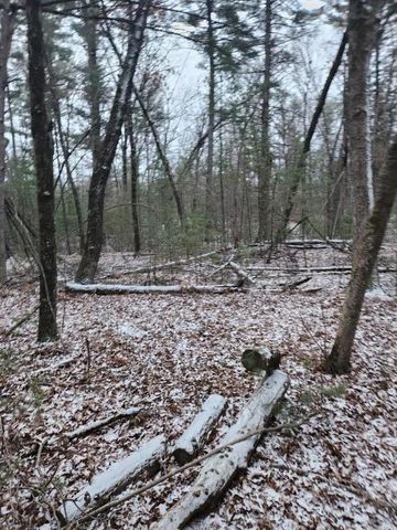 0 19th Pass, Arkdale, WI 54613