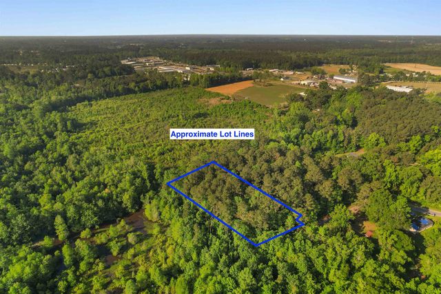 3172 Hair Nook Rd, Conway, SC 29526