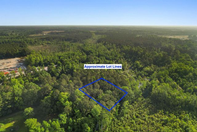 3172 Hair Nook Rd, Conway, SC 29526