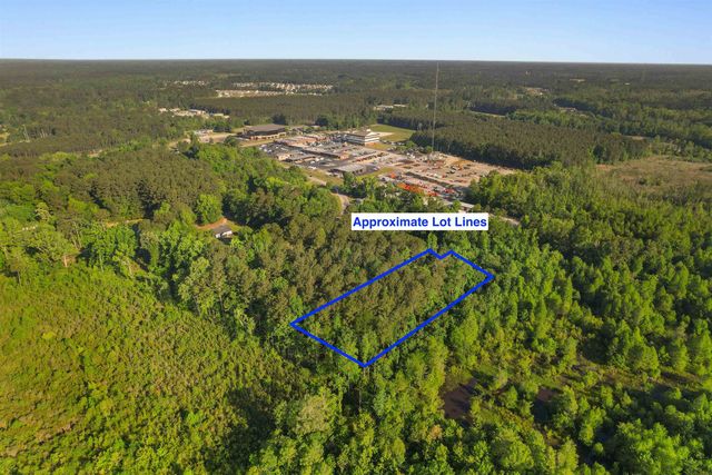 3172 Hair Nook Rd, Conway, SC 29526