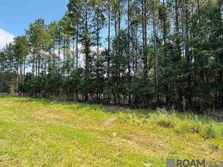 Lot 4 La Hwy 449, Pine Grove, LA 70453