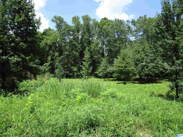 4205 GREENLEAF LANE, Bessemer, AL 35022