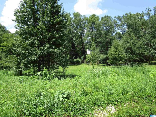 4205 GREENLEAF LANE, Bessemer, AL 35022