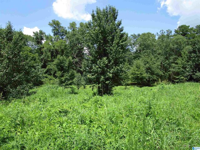 4205 GREENLEAF LANE, Bessemer, AL 35022