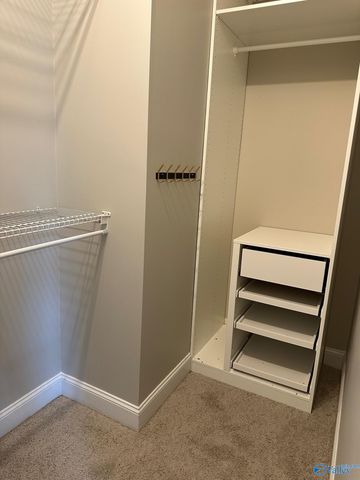 110 Chelsea Park Row, Madison, AL 35758