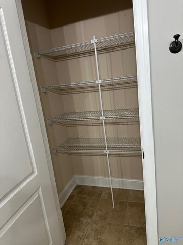 110 Chelsea Park Row, Madison, AL 35758