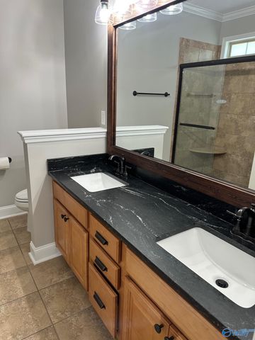 110 Chelsea Park Row, Madison, AL 35758