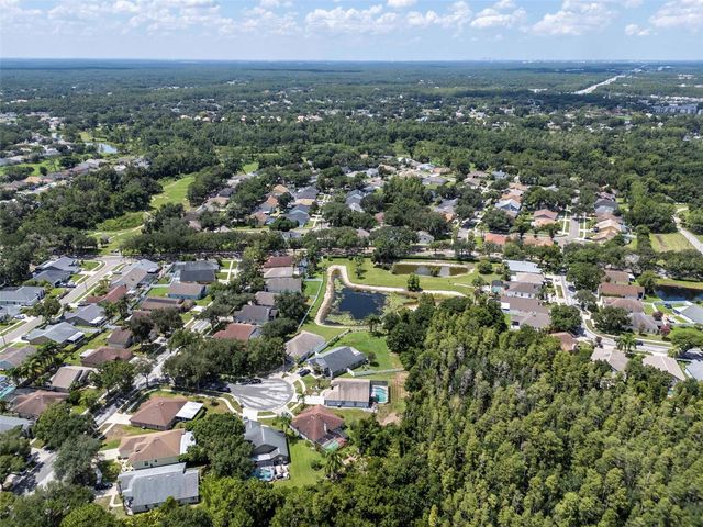9301 BROOKHURST COURT, Tampa, FL 33647